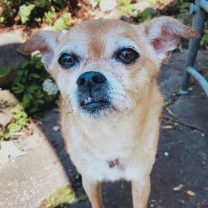 Meet your Posher, Angela